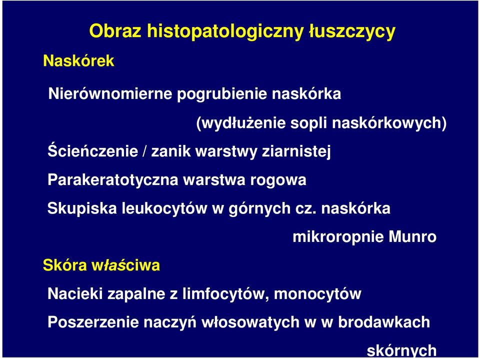 warstwa rogowa Skupiska leukocytów w górnych cz.