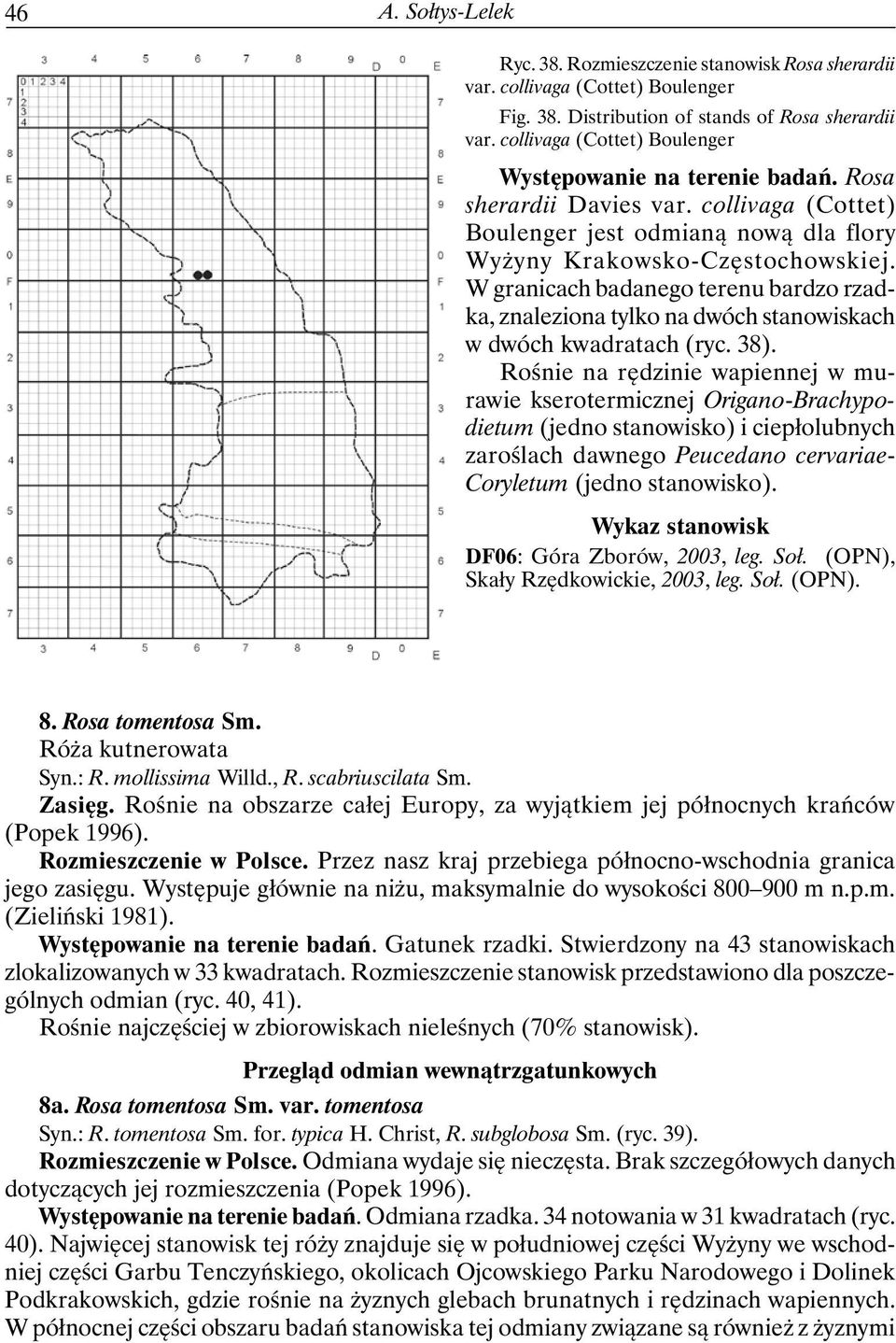 W granicach badanego terenu bardzo rzadka, znaleziona tylko na dwóch stanowiskach w dwóch kwadratach (ryc. 38).