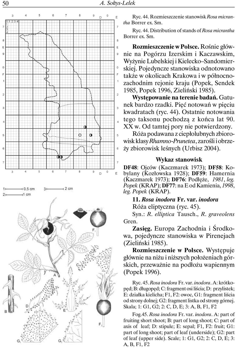 Pojedyncze stanowiska odnotowano także w okolicach Krakowa i w północnozachodnim rejonie kraju (Popek, Sendek 1985, Popek 1996, Zieliński 1985). Występowanie na terenie badań. Gatunek bardzo rzadki.