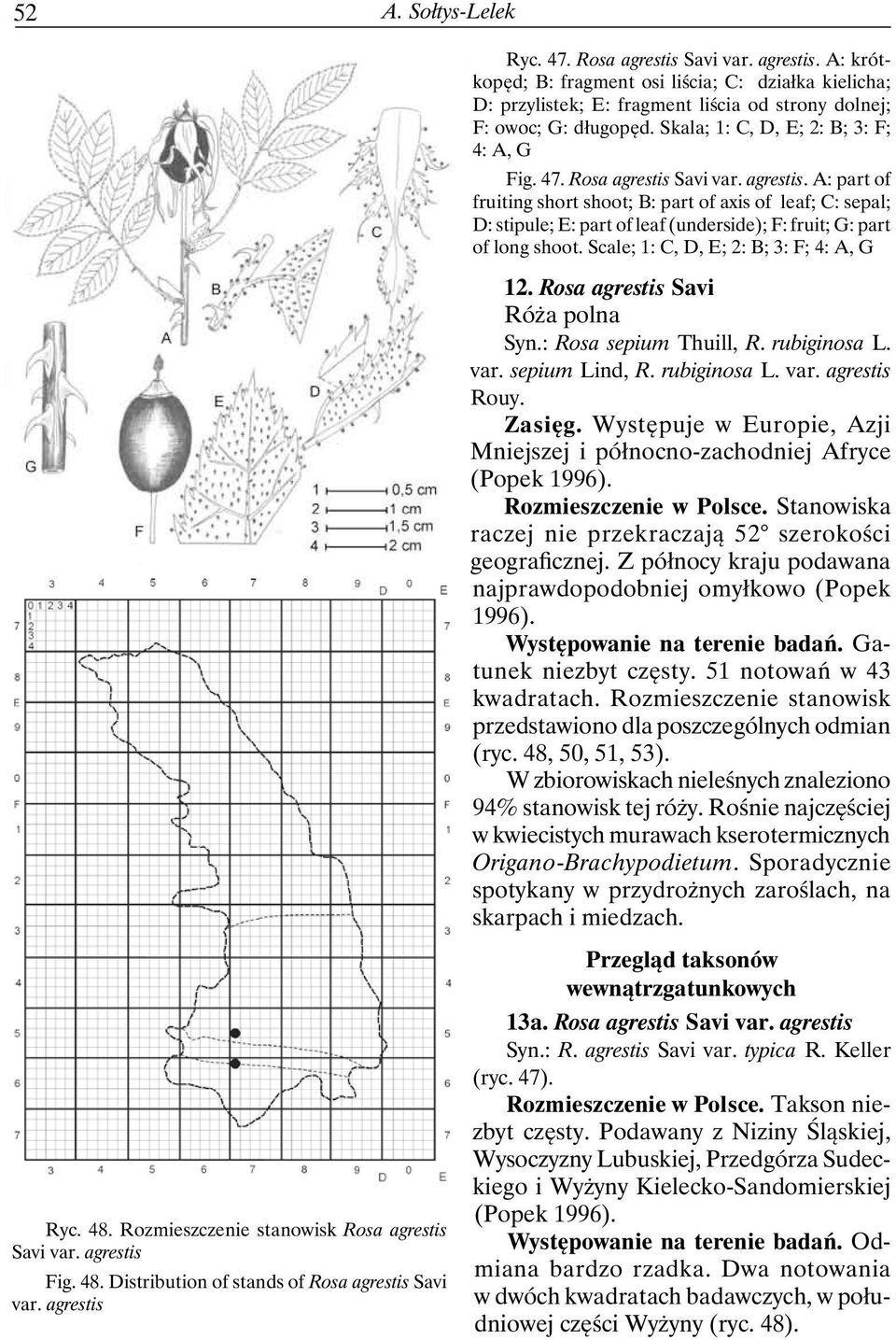 Savi var. agrestis. A: part of fruiting short shoot; B: part of axis of leaf; C: sepal; D: stipule; E: part of leaf (underside); F: fruit; G: part of long shoot.
