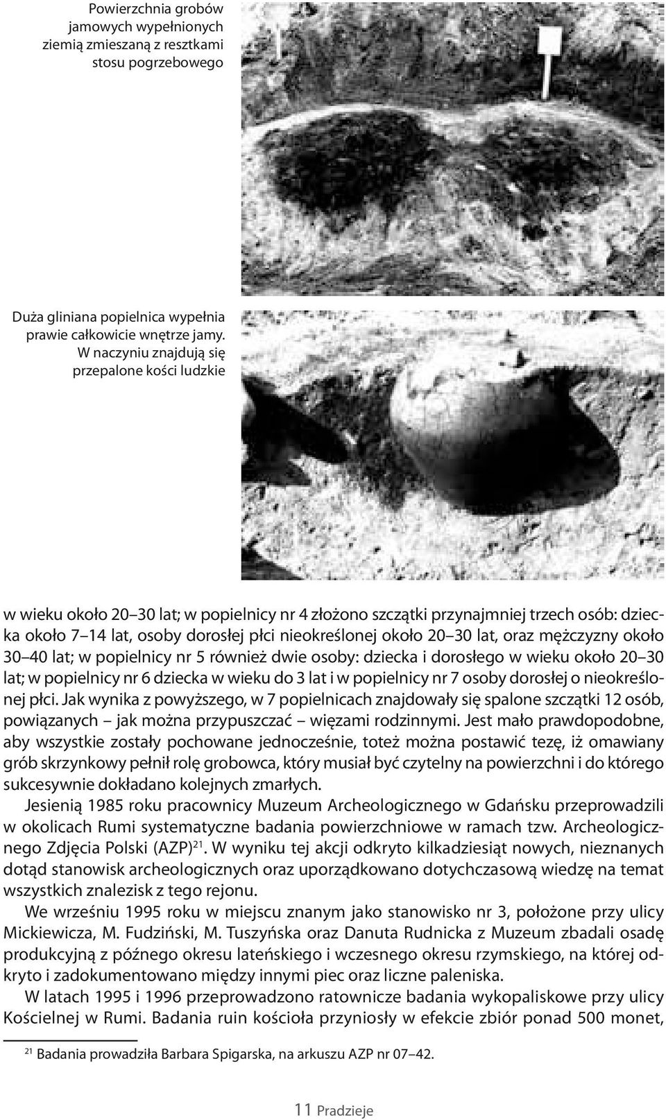 20 30 lat, oraz mężczyzny około 30 40 lat; w popielnicy nr 5 również dwie osoby: dziecka i dorosłego w wieku około 20 30 lat; w popielnicy nr 6 dziecka w wieku do 3 lat i w popielnicy nr 7 osoby