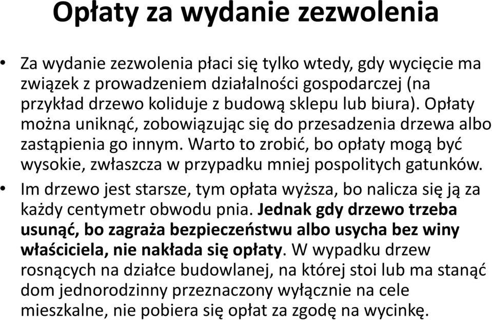 Im drzewo jest starsze, tym opłata wyższa, bo nalicza się ją za każdy centymetr obwodu pnia.