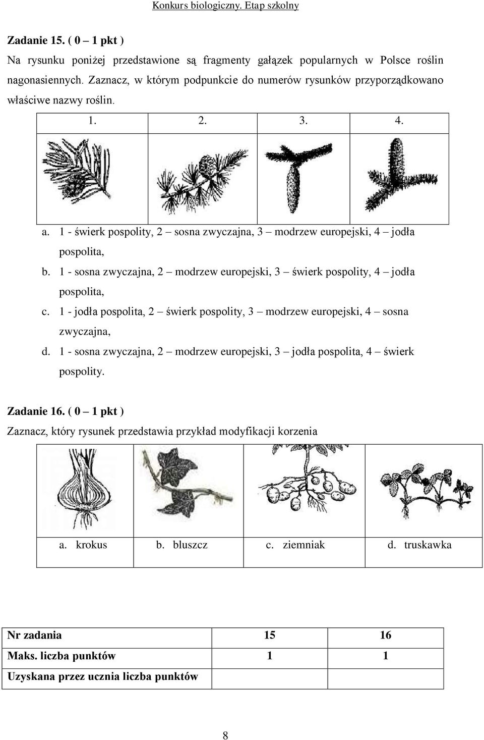 1 - świerk pospolity, 2 sosna zwyczajna, 3 modrzew europejski, 4 jodła pospolita, b. 1 - sosna zwyczajna, 2 modrzew europejski, 3 świerk pospolity, 4 jodła pospolita, c.