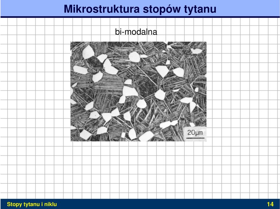 bi-modalna