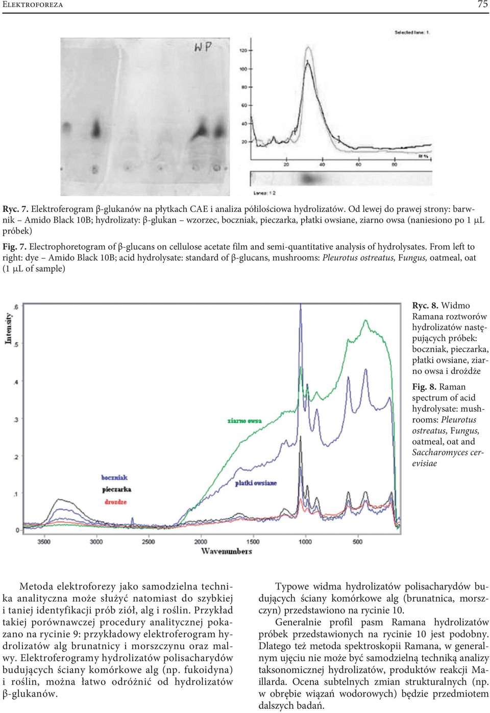 Electrophoretogram of β-glucans on cellulose acetate film and semi-quantitative analysis of hydrolysates.