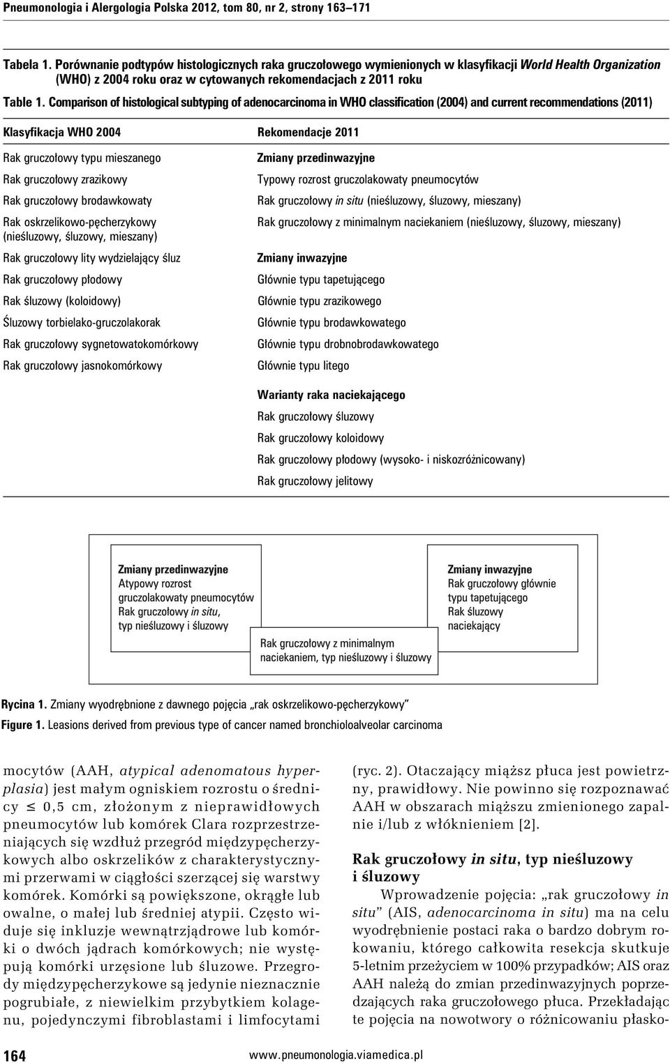 Comparison of histological subtyping of adenocarcinoma in WHO classification (2004) and current recommendations (2011) Klasyfikacja WHO 2004 Rekomendacje 2011 Rak gruczołowy typu mieszanego Rak