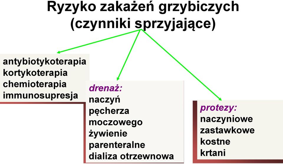 immunosupresja drenaż: naczyń pęcherza moczowego żywienie