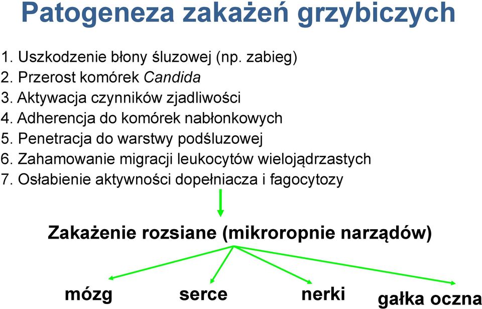 Adherencja do komórek nabłonkowych 5. Penetracja do warstwy podśluzowej 6.