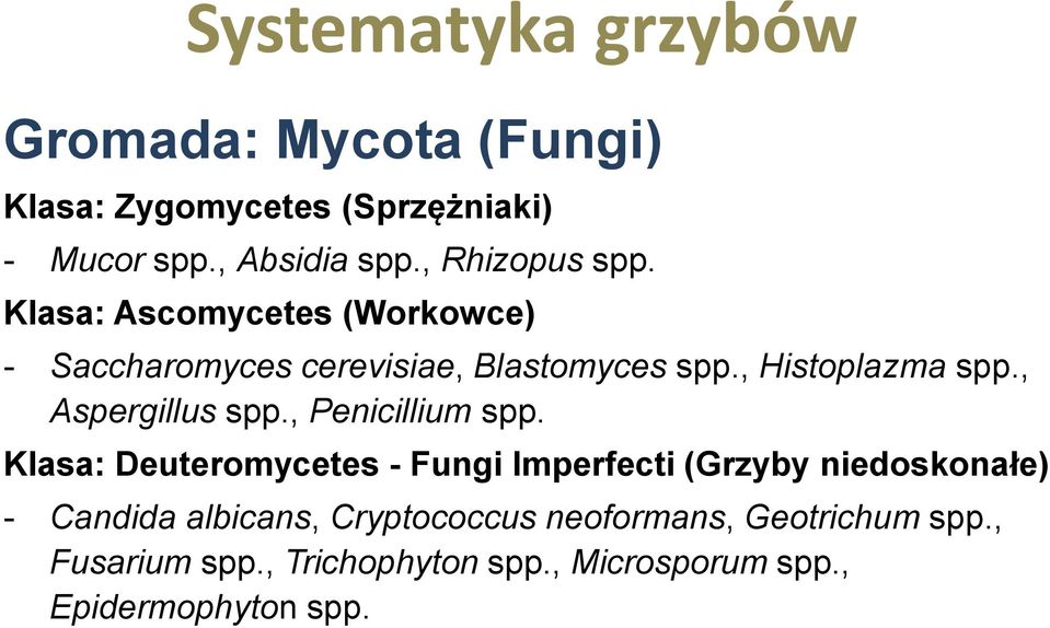 , Aspergillus spp., Penicillium spp.