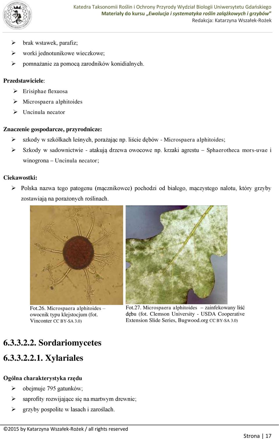 liście dębów - Microspaera alphitoides; Szkody w sadownictwie - atakują drzewa owocowe np.
