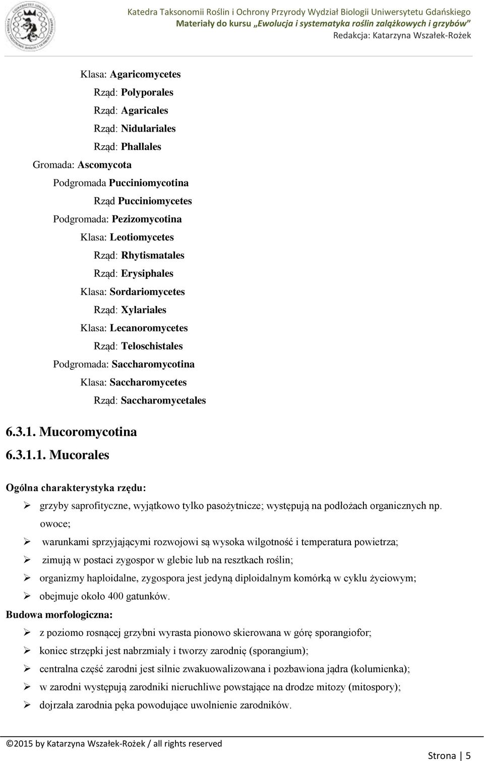 Saccharomycetales 6.3.1. Mucoromycotina 6.3.1.1. Mucorales Ogólna charakterystyka rzędu: grzyby saprofityczne, wyjątkowo tylko pasożytnicze; występują na podłożach organicznych np.