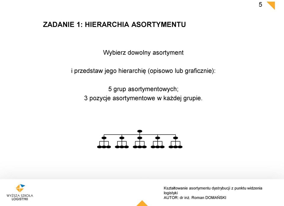 hierarchię (opisowo lub graficznie): 5 grup