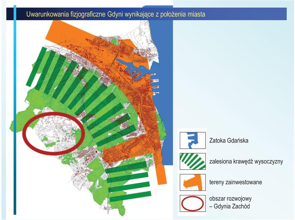 Gdańska zalesiona krawędź wysoczyzny