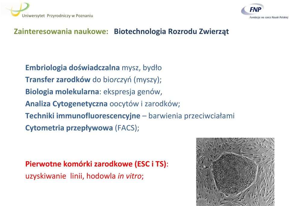 Cytogenetyczna oocytów i zarodków; Techniki immunofluorescencyjne barwienia przeciwciałami