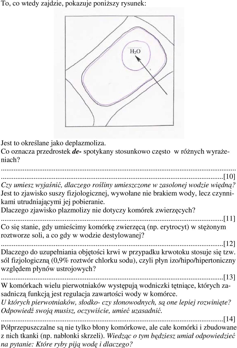 Dlaczego zjawisko plazmolizy nie dotyczy komórek zwierzęcych?...[11] Co się stanie, gdy umieścimy komórkę zwierzęcą (np. erytrocyt) w stężonym roztworze soli, a co gdy w wodzie destylowanej?