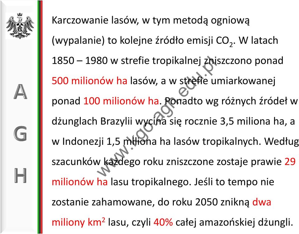 Ponadto wg różnych źródeł w dżunglach Brazylii wycina się rocznie 3,5 miliona ha, a w Indonezji 1,5 miliona ha lasów tropikalnych.