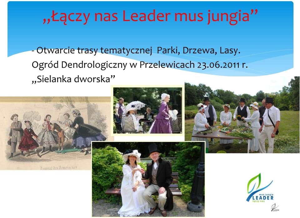 Drzewa, Lasy.