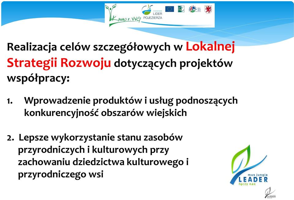 Wprowadzenie produktów i usług podnoszących konkurencyjność obszarów