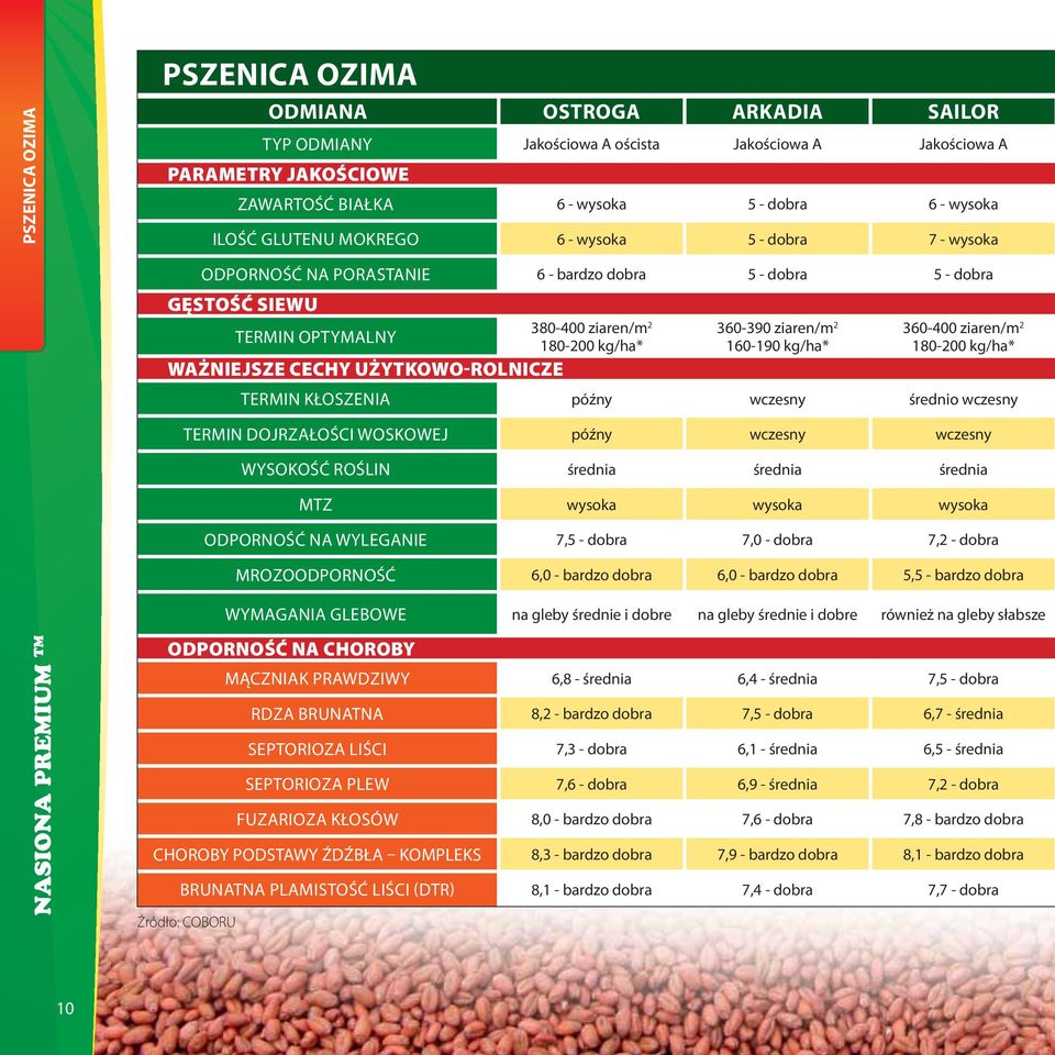 UŻYTKOWO-ROLNICZE 360-390 ziaren/m 2 160-190 kg/ha* 360-400 ziaren/m 2 180-200 kg/ha* TERMIN KŁOSZENIA późny wczesny średnio wczesny TERMIN DOJRZAŁOŚCI WOSKOWEJ późny wczesny wczesny WYSOKOŚĆ ROŚLIN