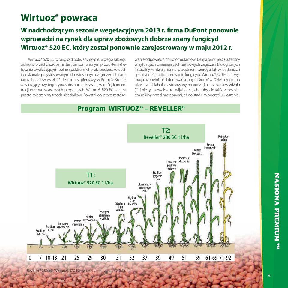 Wirtuoz 520 EC to fungicyd polecany do pierwszego zabiegu ochrony przed chorobami.