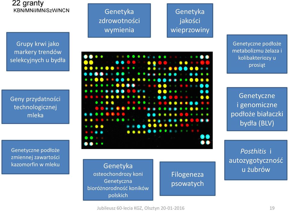 Genetyczne i genomiczne podłoże białaczki bydła (BLV) Genetyczne podłoże zmiennej zawartości kazomorfin w mleku Genetyka osteochondrozy koni