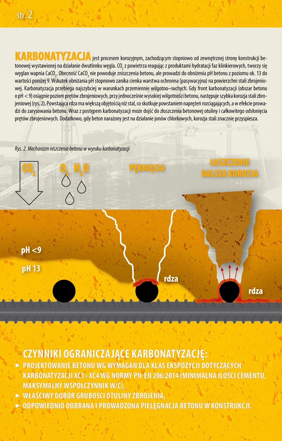 13 do wartości poniżej 9. Wskutek obniżania ph stopniowo zanika cienka warstwa ochronna (pasywacyjna) na powierzchni stali zbrojeniowej.