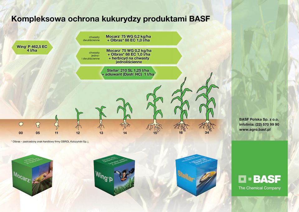 herbicyd na chwasty jednoliścienne Stellar 210 SL 1,25 l/ha + adiuwant (Dash HC) 1 l/ha 00 05 11 12 13 14 15 16 34