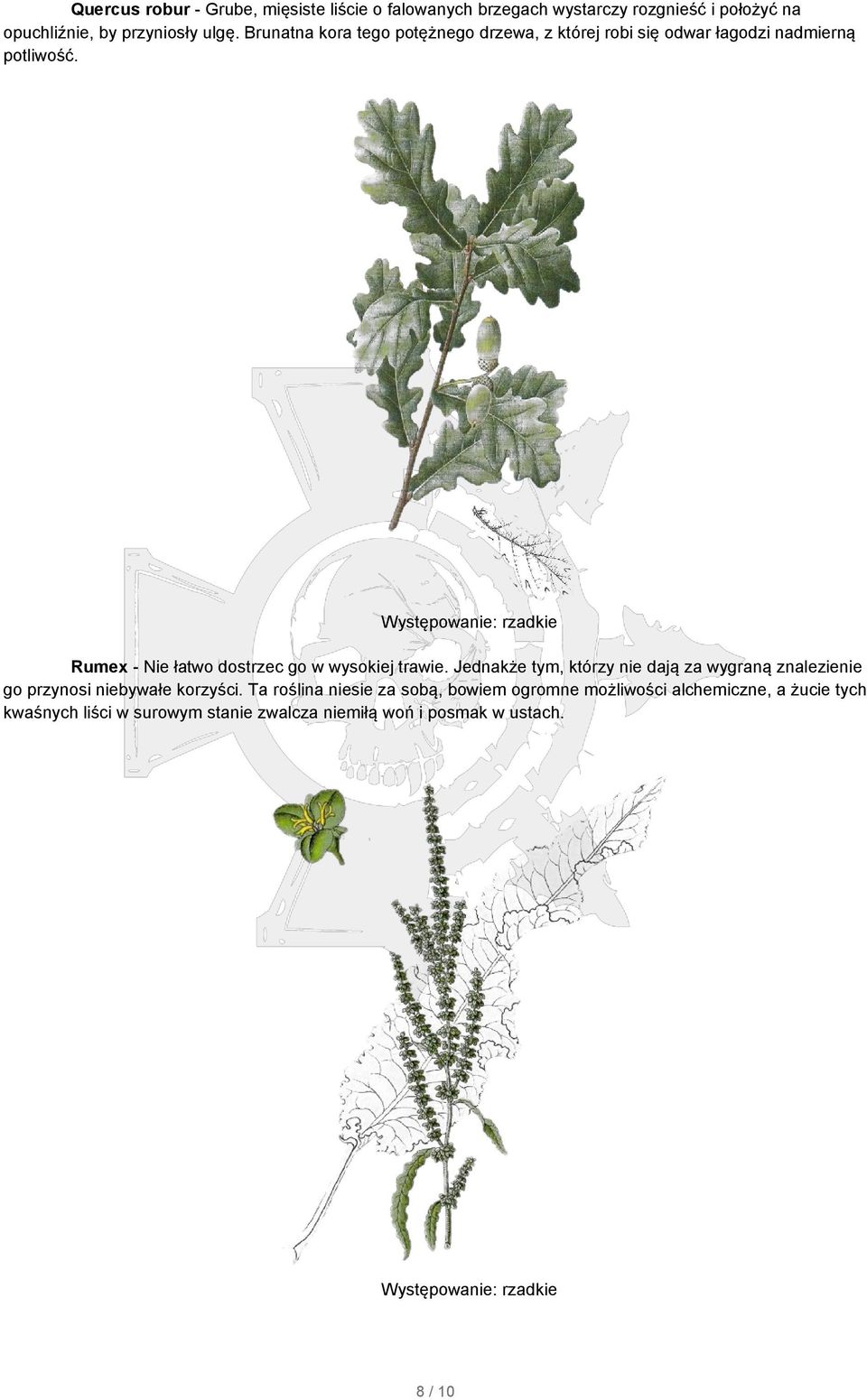 Występowanie: rzadkie Rumex - Nie łatwo dostrzec go w wysokiej trawie.