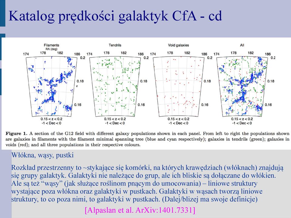 Ale są też wąsy (jak służące roślinom pnącym do umocowania) liniowe struktury wystające poza włókna oraz galaktyki w pustkach.