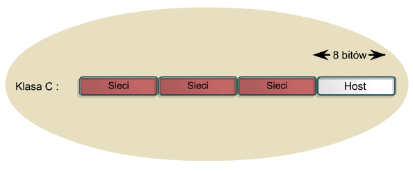 Klasa C Spośród wszystkich głównych trzech klas adresów najczęściej wykorzystywana jest klasa C.