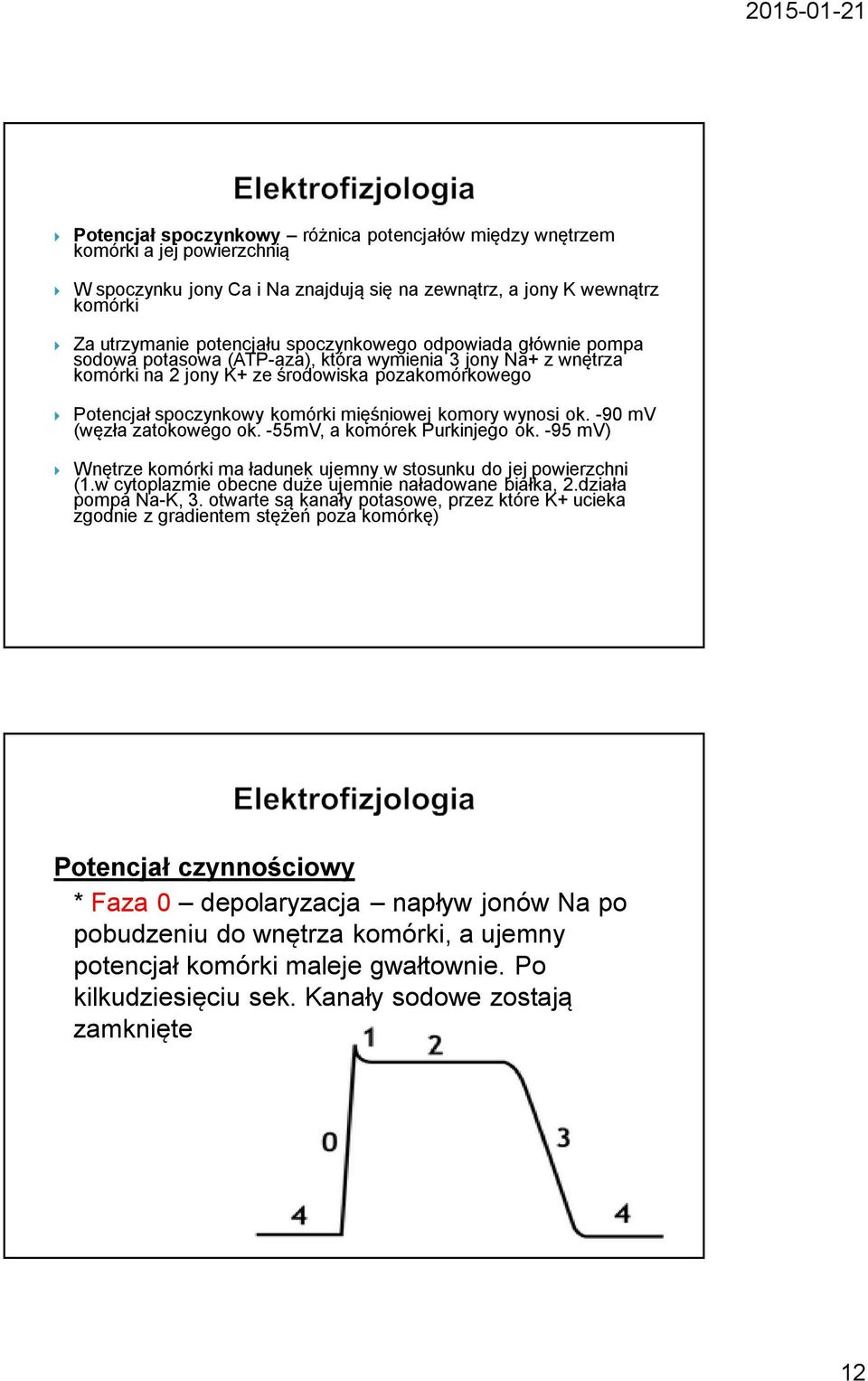 wynosi ok. -90 mv (węzła zatokowego ok. -55mV, a komórek Purkinjego ok. -95 mv) Wnętrze komórki ma ładunek ujemny w stosunku do jej powierzchni (1.