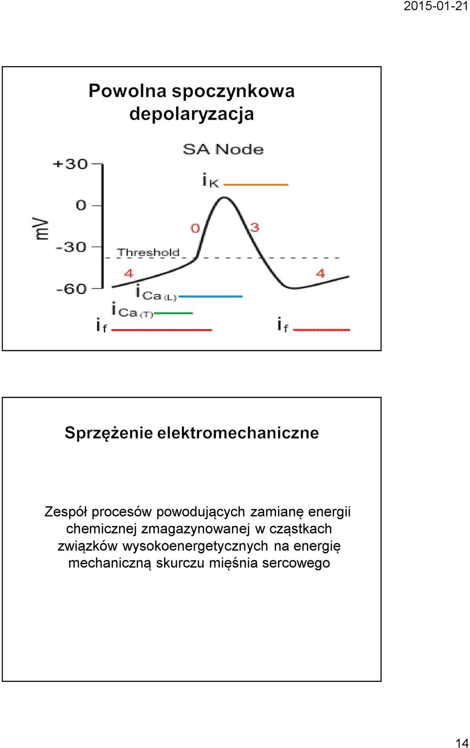 cząstkach związków wysokoenergetycznych