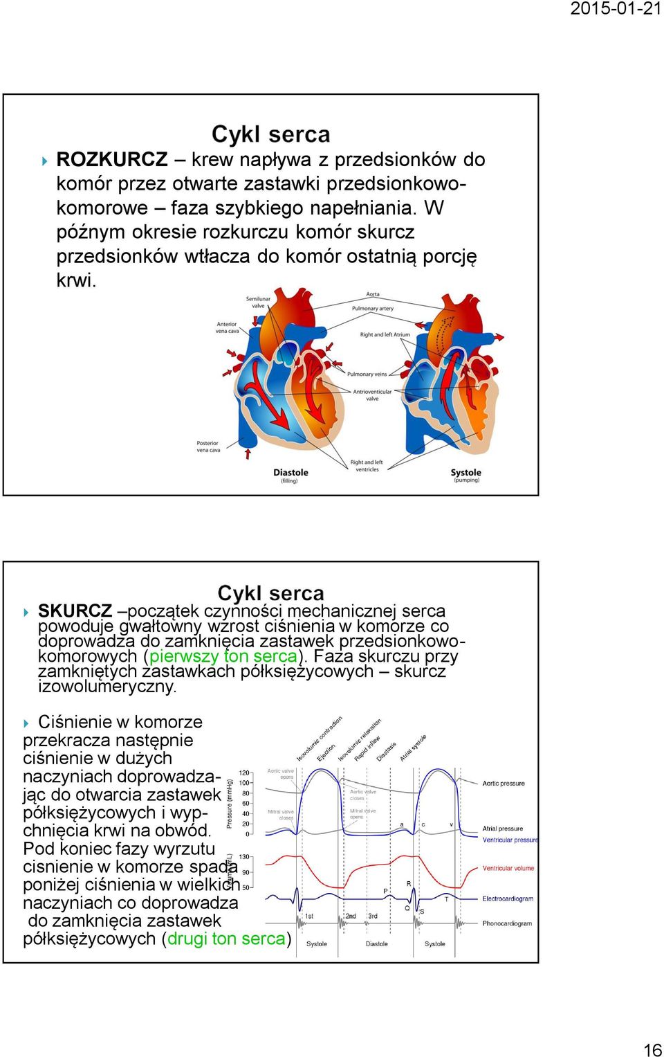 SKURCZ początek czynności mechanicznej serca powoduje gwałtowny wzrost ciśnienia w komorze co doprowadza do zamknięcia zastawek przedsionkowokomorowych (pierwszy ton serca).