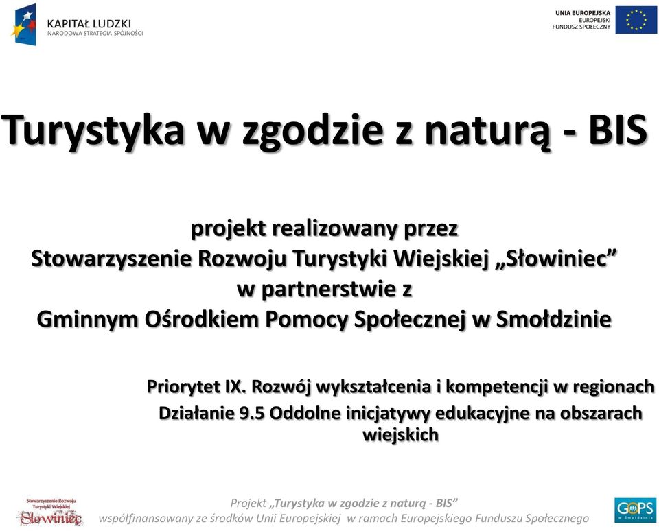 Smołdzinie Priorytet IX. Rozwój wykształcenia i kompetencji w regionach Działanie 9.