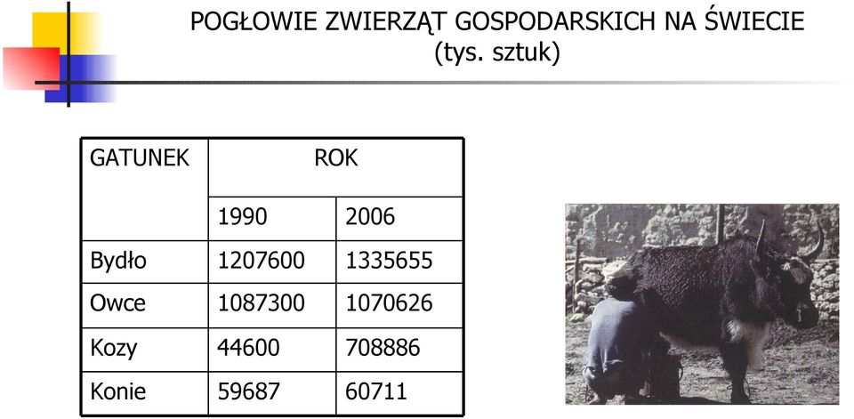 sztuk) GATUNEK ROK 1990 2006 Bydło