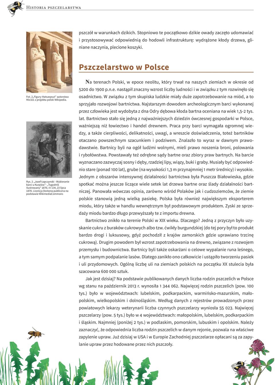 2 Figury-Hatszepsut autorstwa Mix321 z projektu polski Wikipedia. Rys. 2 Jozef Łapczynski - Wybieranie barci u Kurpiów - Tygodnik Ilustrowany 1870, nr 134, 23 lipca 1870.