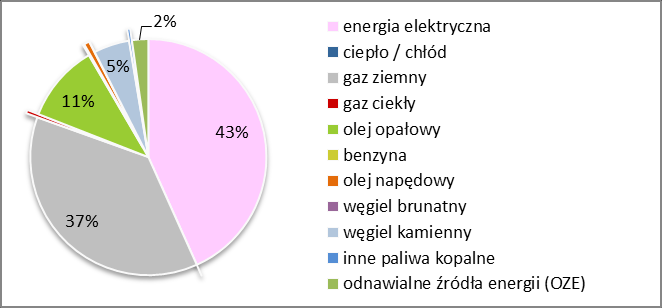 WYNIKI INWENTARYZACJI DLA ROKU KONTROLNEGO Struktura