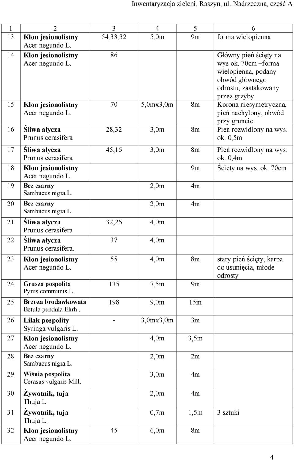 20 Bez czarny Sambucus nigra L. 21 Śliwa ałycza 22 Śliwa ałycza. 23 Klon jesionolistny 24 Grusza pospolita Pyrus communis L. 25 Brzoza brodawkowata Betula pendula Ehrh.