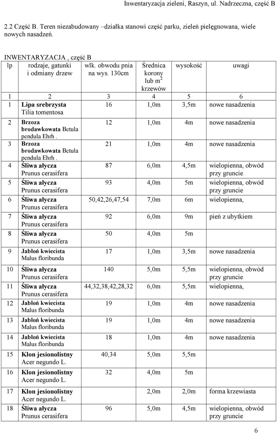 130cm Średnica korony lub m 2 krzewów wysokość uwagi 1 Lipa srebrzysta 16 1,0m 3,5m Tilia tomentosa 2 Brzoza brodawkowata Betula pendula Ehrh. 3 Brzoza brodawkowata Betula pendula Ehrh.
