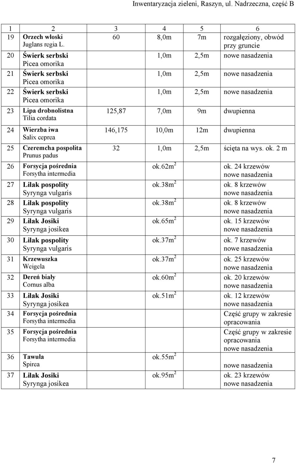 7,0m 9m dwupienna 24 Wierzba iwa Salix ceprea 25 Czeremcha pospolita Prunus padus 26 Forsycja pośrednia Forsytha intermedia 27 Lilak pospolity Syrynga vulgaris 28 Lilak pospolity Syrynga vulgaris 29