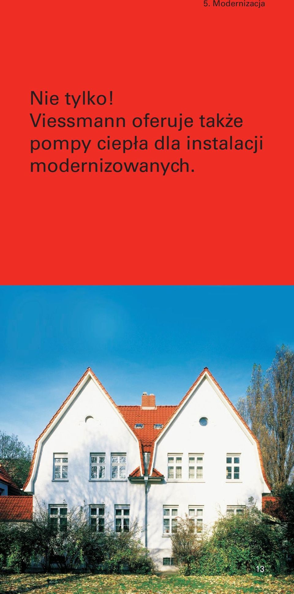 Viessmann oferuje także