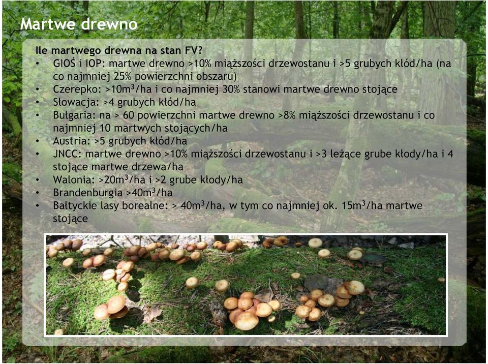 martwe drewno stojące Słowacja: >4 grubych kłód/ha Bułgaria: na > 60 powierzchni martwe drewno >8% miąŝszości drzewostanu i co najmniej 10 martwych stojących/ha