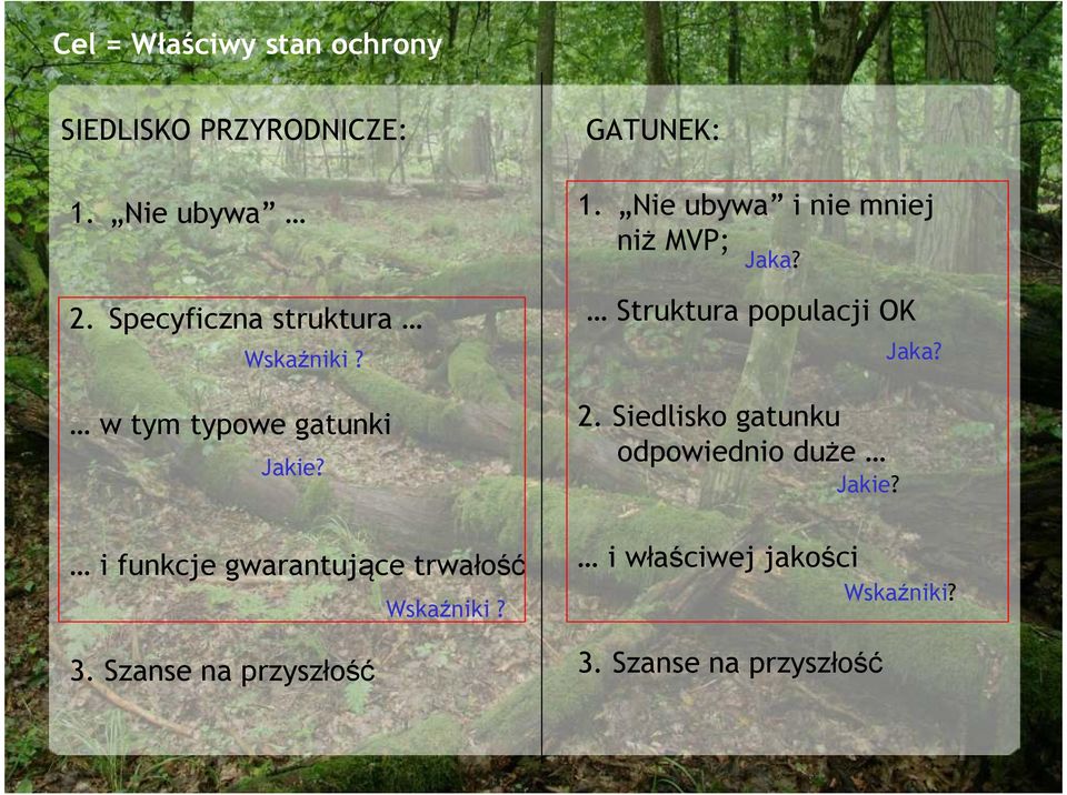 i funkcje gwarantujące trwałość 3. Szanse na przyszłość Wskaźniki? GATUNEK: 1.