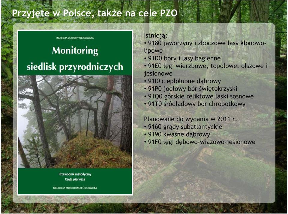 jodłowy bór świętokrzyski 91Q0 górskie reliktowe laski sosnowe 91T0 śródlądowy bór chrobotkowy