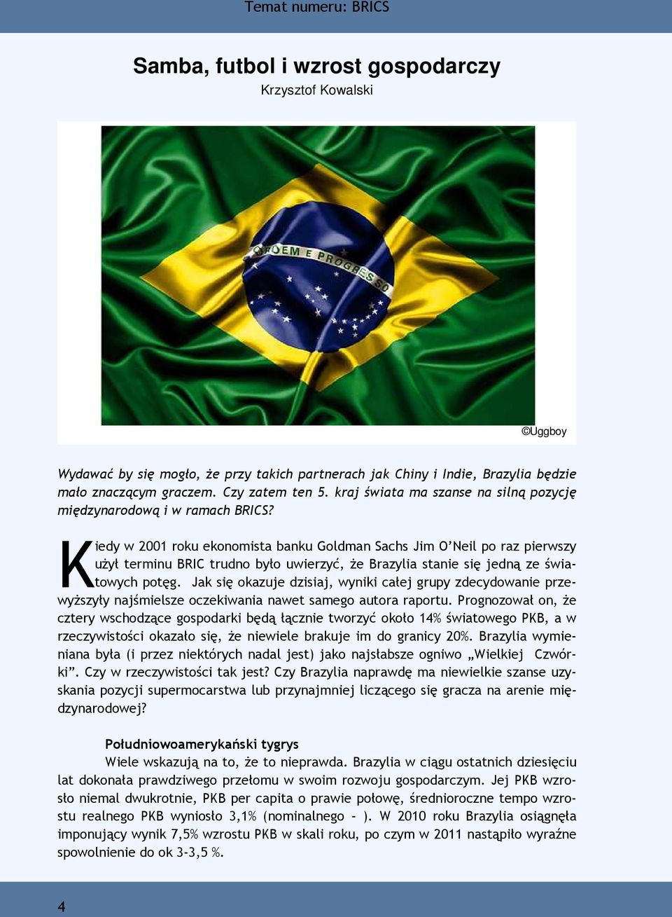 Kiedy w 2001 roku ekonomista banku Goldman Sachs Jim O Neil po raz pierwszy użył terminu BRIC trudno było uwierzyć, że Brazylia stanie się jedną ze światowych potęg.