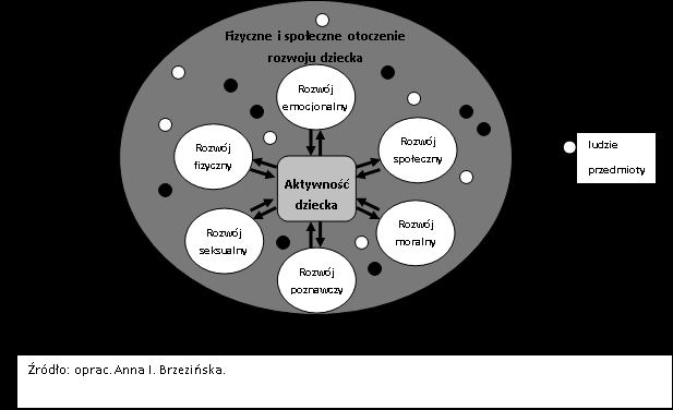 Z kolei rozwój fizyczny, seksualny, emocjonalny, poznawczy i społeczny powodują kolejne zmiany w jego aktywności: zmiany rodzaju aktywności zmiana relacji i proporcji między zabawą, uczeniem się i