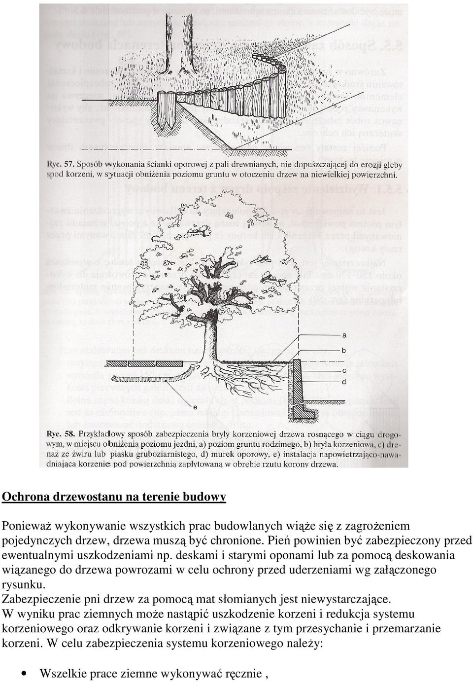 deskami i starymi oponami lub za pomocą deskowania wiązanego do drzewa powrozami w celu ochrony przed uderzeniami wg załączonego rysunku.