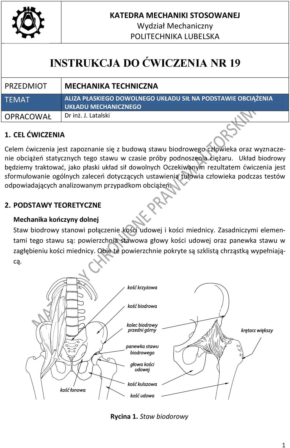 CEL ĆWICZENIA Celem ćwiczenia jest zapoznanie się z budową stawu biodrowego człowieka oraz wyznaczenie obciążeń statycznych tego stawu w czasie próby podnoszenia ciężaru.