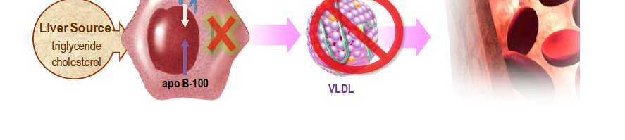 Lomitapide inhibitor