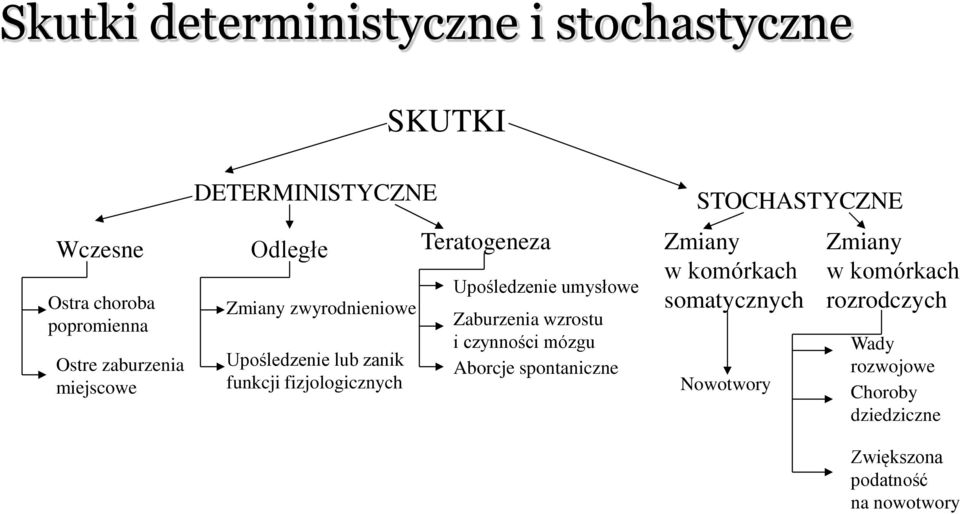 Upośledzenie umysłowe Zaburzenia wzrostu i czynności mózgu Aborcje spontaniczne STOCHASTYCZNE Zmiany w komórkach